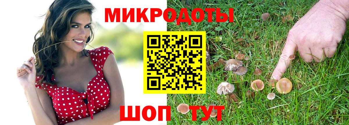 Псилоцибиновые грибы Cubensis Алексеевка