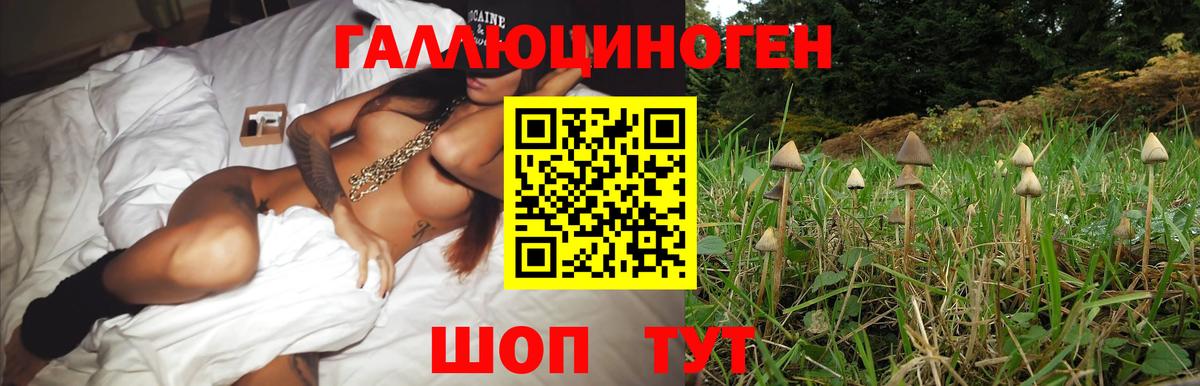 Псилоцибиновые грибы Psilocybe  Псилоцибиновые грибы Psilocybe  Вход с VPN  Алексеевка 